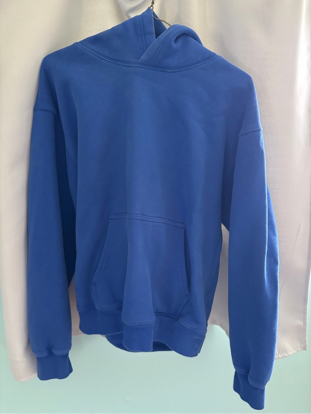 Aritzia Sweatfleece Cozy Perfect Hoodie Sweatshirt